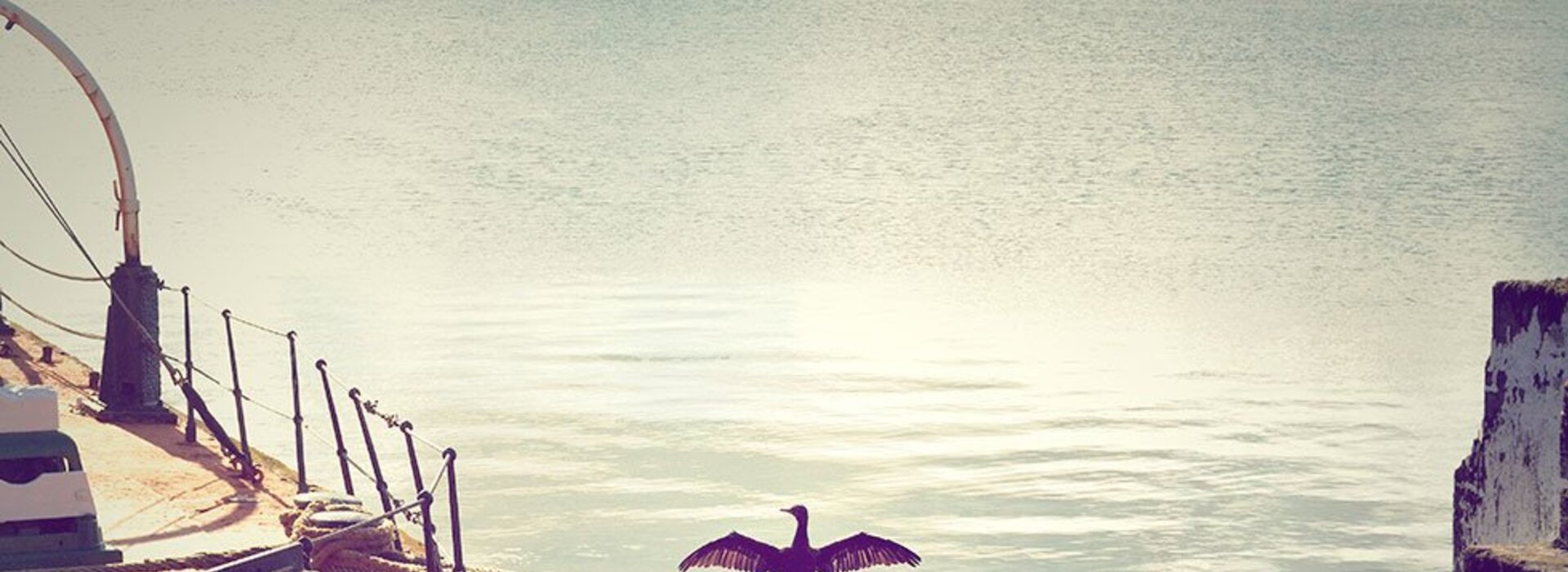 Vestibulum at tellus