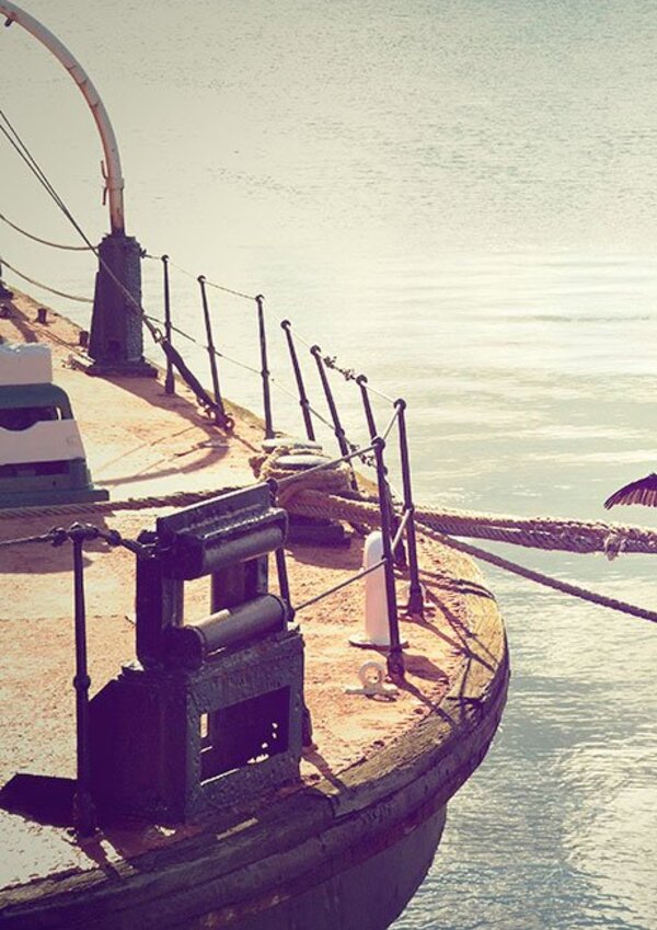 Vestibulum at tellus